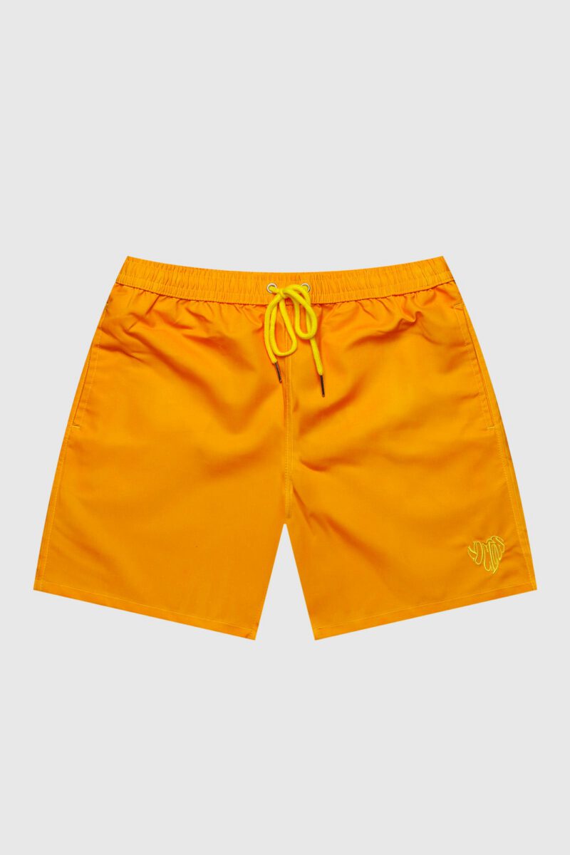 Lava Swim Short V2